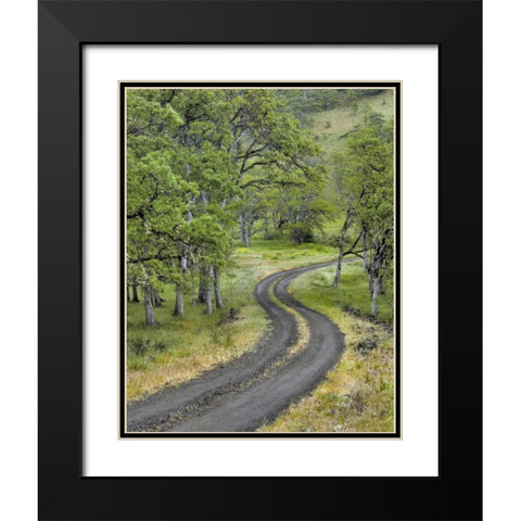 OR, Columbia Gorge NSA Road lined with oak trees Black Modern Wood Framed Art Print with Double Matting by Terrill, Steve