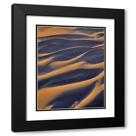 Oregon, Cape Sebastian Close-up of sand dunes Black Modern Wood Framed Art Print with Double Matting by Terrill, Steve