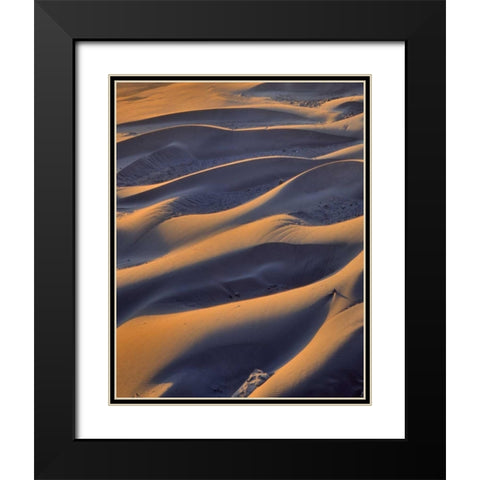 Oregon, Cape Sebastian Close-up of sand dunes Black Modern Wood Framed Art Print with Double Matting by Terrill, Steve