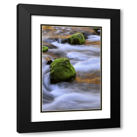 Oregon, Willamette NF McKenzie River over rocks Black Modern Wood Framed Art Print with Double Matting by Terrill, Steve