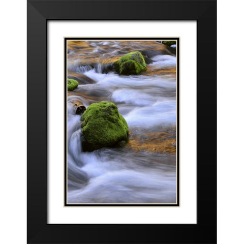 Oregon, Willamette NF McKenzie River over rocks Black Modern Wood Framed Art Print with Double Matting by Terrill, Steve