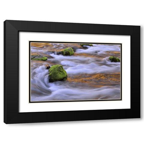 Oregon, Willamette NF McKenzie River over rocks Black Modern Wood Framed Art Print with Double Matting by Terrill, Steve