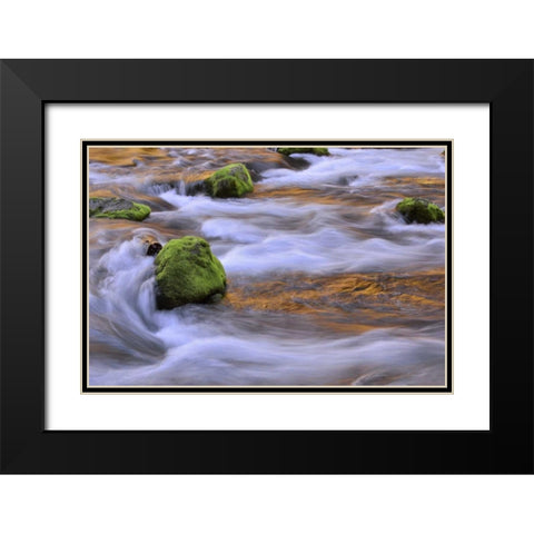 Oregon, Willamette NF McKenzie River over rocks Black Modern Wood Framed Art Print with Double Matting by Terrill, Steve