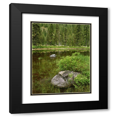 Oregon, Mt Hood NF Reflections in Surprise Lake Black Modern Wood Framed Art Print with Double Matting by Terrill, Steve