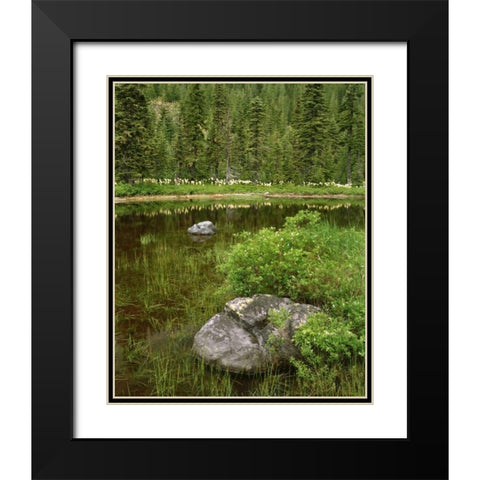 Oregon, Mt Hood NF Reflections in Surprise Lake Black Modern Wood Framed Art Print with Double Matting by Terrill, Steve