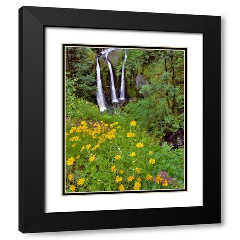 Oregon, Columbia River Gorge NSA Triple Falls Black Modern Wood Framed Art Print with Double Matting by Terrill, Steve