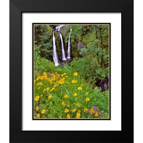 Oregon, Columbia River Gorge NSA Triple Falls Black Modern Wood Framed Art Print with Double Matting by Terrill, Steve
