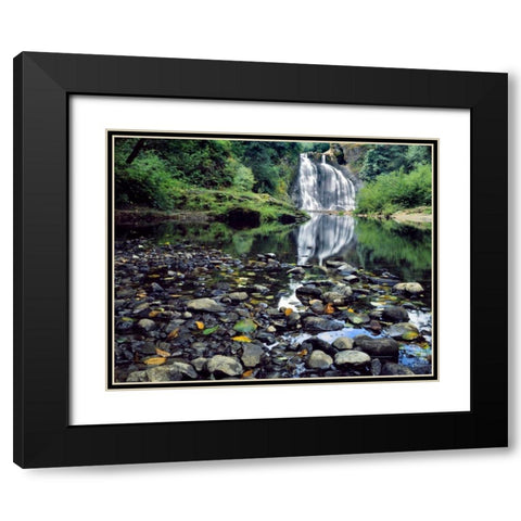 Oregon, Youngs River Falls Waterfall landscape Black Modern Wood Framed Art Print with Double Matting by Terrill, Steve