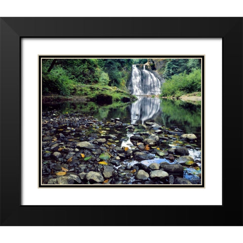 Oregon, Youngs River Falls Waterfall landscape Black Modern Wood Framed Art Print with Double Matting by Terrill, Steve