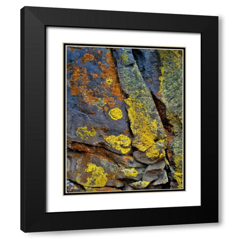 Oregon, Deschutes NF Lichen, covered basalt rock Black Modern Wood Framed Art Print with Double Matting by Terrill, Steve