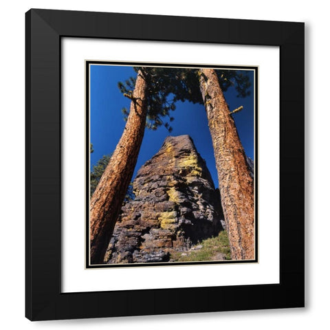 OR, Gearhart Mountain Trees frame rock formation Black Modern Wood Framed Art Print with Double Matting by Terrill, Steve