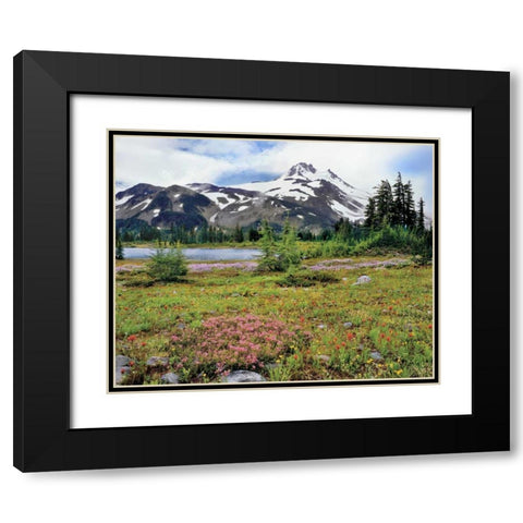 OR Mt Jefferson and field of flowers Black Modern Wood Framed Art Print with Double Matting by Terrill, Steve