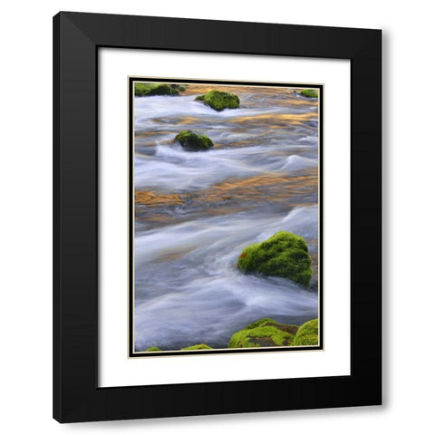 Oregon, Willamette NF McKenzie River over rocks Black Modern Wood Framed Art Print with Double Matting by Terrill, Steve