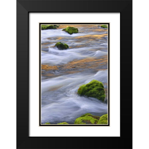 Oregon, Willamette NF McKenzie River over rocks Black Modern Wood Framed Art Print with Double Matting by Terrill, Steve