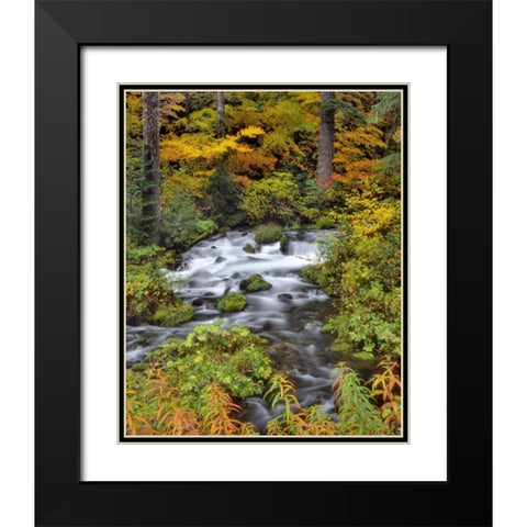 OR, Willamette NF Roaring River through Oregon Black Modern Wood Framed Art Print with Double Matting by Terrill, Steve