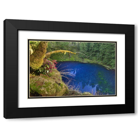Oregon Blue or Tamolitch Pool on McKenzie River Black Modern Wood Framed Art Print with Double Matting by Terrill, Steve