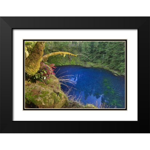 Oregon Blue or Tamolitch Pool on McKenzie River Black Modern Wood Framed Art Print with Double Matting by Terrill, Steve