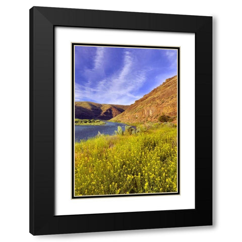 Oregon, John Day River Cliffs and wild mustard Black Modern Wood Framed Art Print with Double Matting by Terrill, Steve