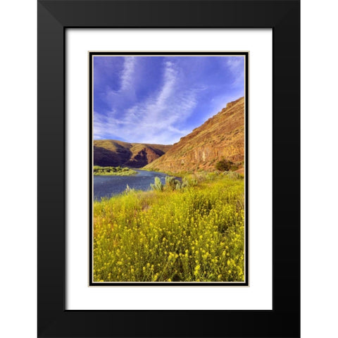 Oregon, John Day River Cliffs and wild mustard Black Modern Wood Framed Art Print with Double Matting by Terrill, Steve