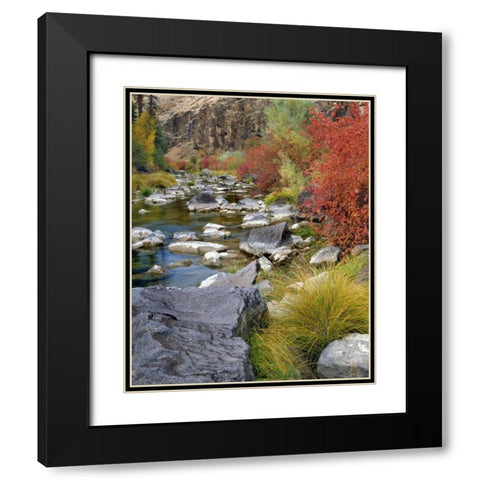 USA, Oregon Fall colors along John Day River Black Modern Wood Framed Art Print with Double Matting by Terrill, Steve