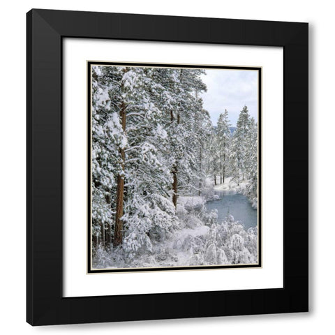 Oregon Fresh snowfall along Warm Springs River Black Modern Wood Framed Art Print with Double Matting by Terrill, Steve