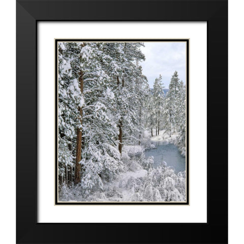Oregon Fresh snowfall along Warm Springs River Black Modern Wood Framed Art Print with Double Matting by Terrill, Steve
