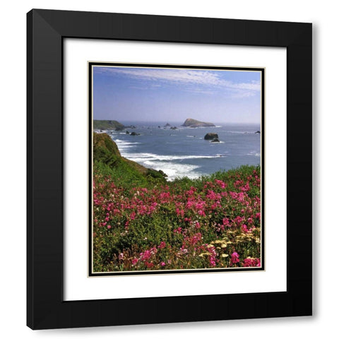 Oregon Seascape of Goat Rock and sweet peas Black Modern Wood Framed Art Print with Double Matting by Terrill, Steve