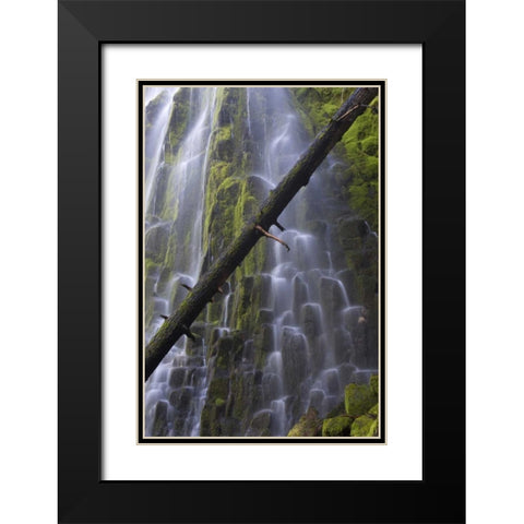 Oregon, Proxy Falls Waterfalls over basalt Black Modern Wood Framed Art Print with Double Matting by Delisle, Gilles