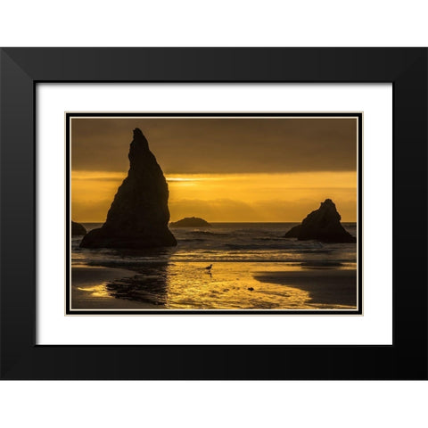 Oregon-Bandon Beach Wizards Hat formation at sunset  Black Modern Wood Framed Art Print with Double Matting by Jaynes Gallery