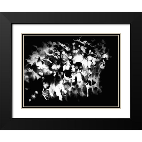 Oregon Abstract of black and white photograph Black Modern Wood Framed Art Print with Double Matting by Jaynes Gallery
