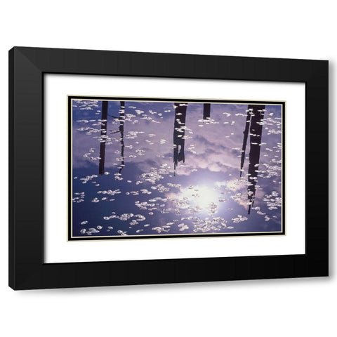 Oregon-Empire Lake Rising sun reflects off lily pads in lake Black Modern Wood Framed Art Print with Double Matting by Jaynes Gallery