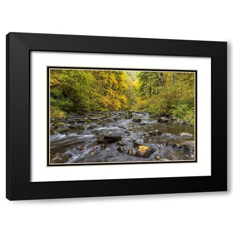 USA-Oregon-Silver Falls State Park River rapids and forest in autumn Black Modern Wood Framed Art Print with Double Matting by Jaynes Gallery