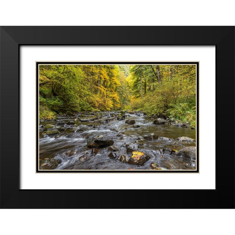 USA-Oregon-Silver Falls State Park River rapids and forest in autumn Black Modern Wood Framed Art Print with Double Matting by Jaynes Gallery