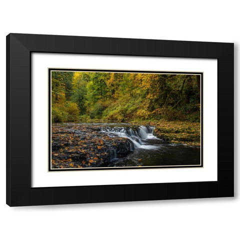USA-Oregon-Silver Falls State Park Waterfalls and forest in autumn Black Modern Wood Framed Art Print with Double Matting by Jaynes Gallery