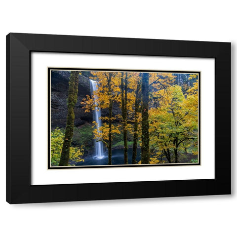 USA-Oregon-Silver Falls State Park Tall waterfall and forest in autumn Black Modern Wood Framed Art Print with Double Matting by Jaynes Gallery