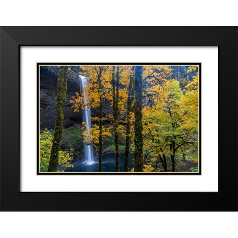 USA-Oregon-Silver Falls State Park Tall waterfall and forest in autumn Black Modern Wood Framed Art Print with Double Matting by Jaynes Gallery