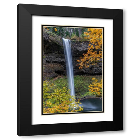 USA-Oregon-Silver Falls State Park Tall waterfall and forest in autumn Black Modern Wood Framed Art Print with Double Matting by Jaynes Gallery