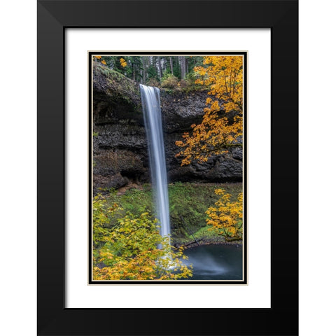 USA-Oregon-Silver Falls State Park Tall waterfall and forest in autumn Black Modern Wood Framed Art Print with Double Matting by Jaynes Gallery