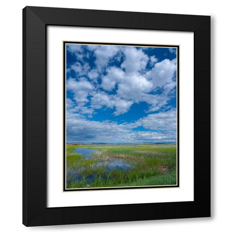 Malheur National Wildlife Refuge Black Modern Wood Framed Art Print with Double Matting by Sederquist, Betty