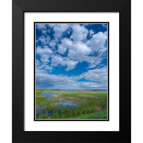 Malheur National Wildlife Refuge Black Modern Wood Framed Art Print with Double Matting by Sederquist, Betty