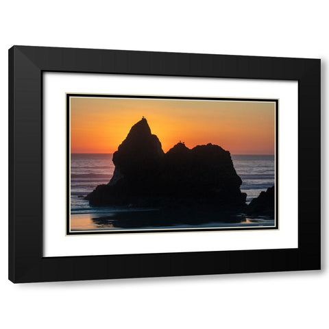 Humbug Point at sunset near Cannon Beach-Oregon-USA Black Modern Wood Framed Art Print with Double Matting by Haney, Chuck