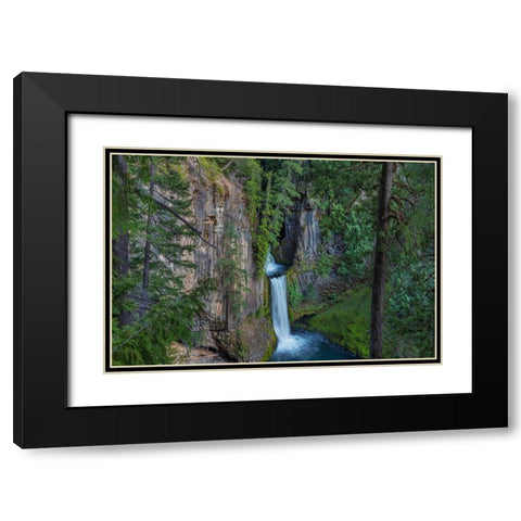 Toketee Falls runs over basalt columns in the Umpqua National Forest-Oregon-USA Black Modern Wood Framed Art Print with Double Matting by Haney, Chuck