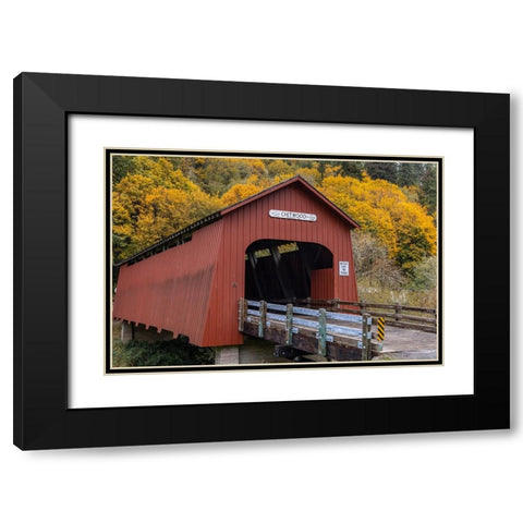 Chitwood Covered Bridge in autumn in Lincoln County-Oregon-USA Black Modern Wood Framed Art Print with Double Matting by Haney, Chuck