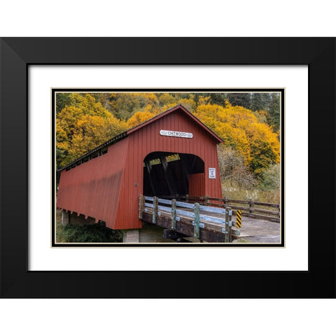 Chitwood Covered Bridge in autumn in Lincoln County-Oregon-USA Black Modern Wood Framed Art Print with Double Matting by Haney, Chuck