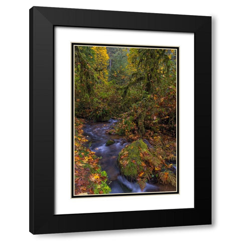 Munson Creek Falls State Natural Site in autumn near Tillamook-Oregon-USA Black Modern Wood Framed Art Print with Double Matting by Haney, Chuck