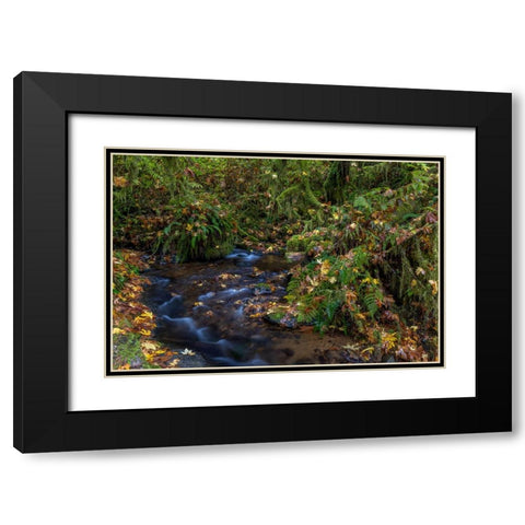 Munson Creek Falls State Natural Site in autumn near Tillamook-Oregon-USA Black Modern Wood Framed Art Print with Double Matting by Haney, Chuck