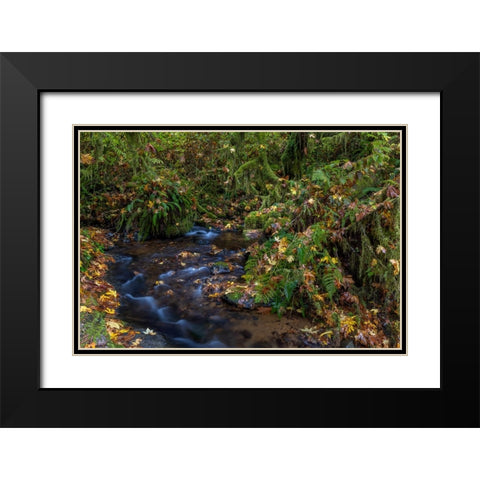 Munson Creek Falls State Natural Site in autumn near Tillamook-Oregon-USA Black Modern Wood Framed Art Print with Double Matting by Haney, Chuck