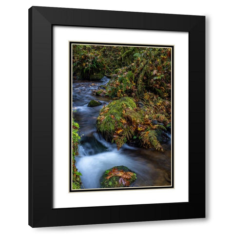Munson Creek Falls State Natural Site in autumn near Tillamook-Oregon-USA Black Modern Wood Framed Art Print with Double Matting by Haney, Chuck