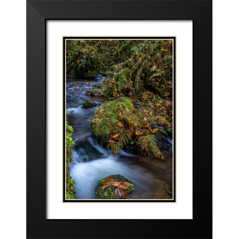 Munson Creek Falls State Natural Site in autumn near Tillamook-Oregon-USA Black Modern Wood Framed Art Print with Double Matting by Haney, Chuck