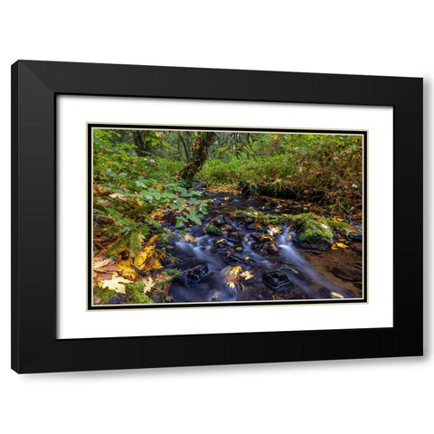 Munson Creek Falls State Natural Site in autumn near Tillamook-Oregon-USA Black Modern Wood Framed Art Print with Double Matting by Haney, Chuck